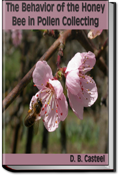 The Behavior of the Honey Bee in Pollen Collection | D. B. Casteel